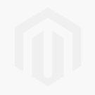 Design for the Environment (DFE)